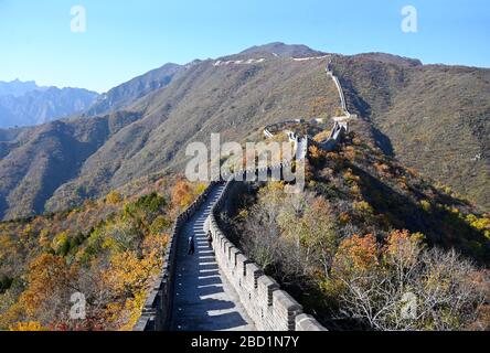 Grande Muraglia della Cina, sezione Mutianyu, guardando verso ovest verso Jiankou, Patrimonio dell'Umanità dell'UNESCO, Pechino, Cina, Asia Foto Stock