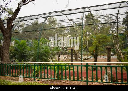 White Birds in gabbia al Zoo Park Foto Stock Foto Stock