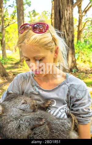 Donna turistica bionda caucasica che tiene un wombat carino che dorme in posizione marsupiale, Tasmania, Australia, Pacifico Foto Stock