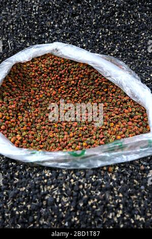 Bacche di goji, nero e rosso, per la vendita a Shazhou Street market, Dunhuang, Gansu, Cina, Asia Foto Stock