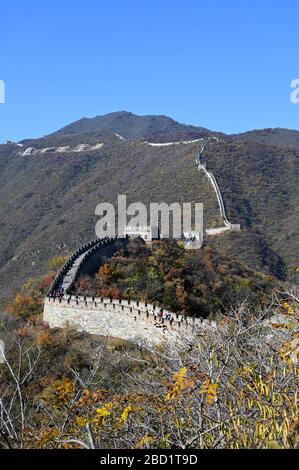 Grande Muraglia della Cina, sezione Mutianyu, guardando verso ovest verso Jiankou, Patrimonio dell'Umanità dell'UNESCO, Pechino, Cina, Asia Foto Stock