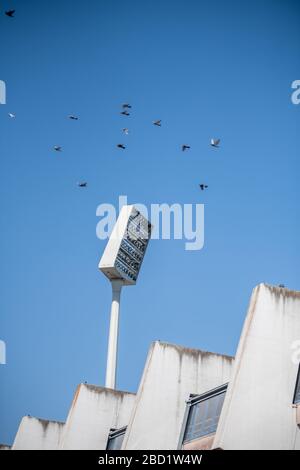 Bochum, Germania. 06th Apr, 2020. I piccioni volano davanti a un riflettore allo Stadio Ruhr. La squadra di calcio di seconda divisione VfL Bochum è uno dei club ad alto rischio nella crisi di Corona. Già nel maggio 2020, nel peggiore dei casi, l’ex club della Bundesliga potrebbe essere minacciato di insolvenza. Credit: Fabian Strauch/dpa/Alamy Live News Foto Stock