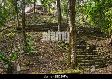 Templo XXI, Acropolis sur, parzialmente scavato nella foresta pluviale tropicale, rovine Maya al sito archeologico di Palenque, Chiapas, Messico Foto Stock