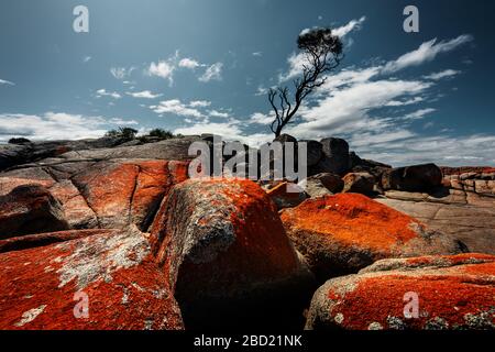 Rocce coperte di licheni nella famosa Binalong Bay. Foto Stock