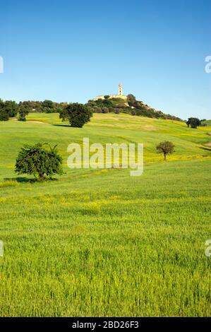 Italia, Basilicata, Sant'Arcangelo, campi di grano e monastero di Santa Maria di Orsoleo Foto Stock