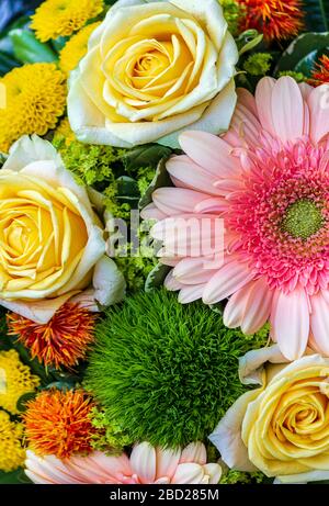 Bouquet colorato di rose e gerbera daisy Foto Stock