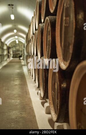 Sfondo delle botti di vino nelle volte. Supporti misti. Interno della volta del vino con botti di legno. Foto Stock