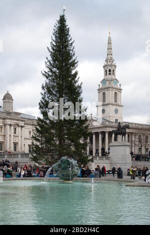 Albero di Natale 2013 a Trafalgar Square, Charing Cross, Londra WC2N 5DN Foto Stock