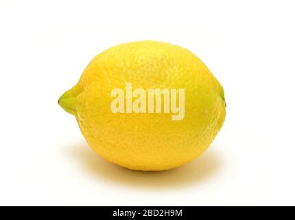 Un limone intero fresco su sfondo bianco. Foto Stock