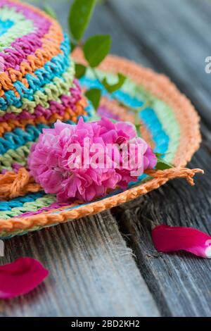 Rose su un colorato cappello di paglia Foto Stock