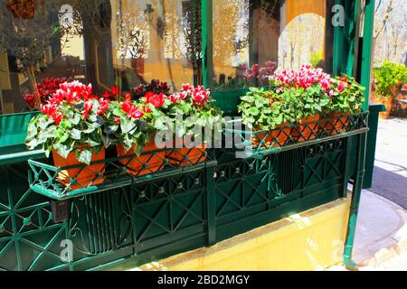 Piantatrici decorative di fiori e pentole. Foto Stock