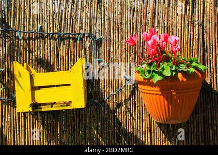 Cassa decorativa in legno e vaso di fiori sul recinto di un giardino. Foto Stock