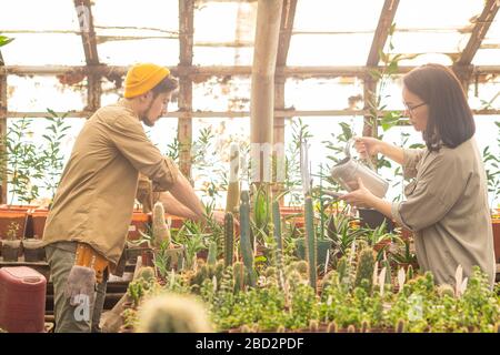 Occupati giovani lavoratori multietnici innaffiare le piante e fertilizzarle mentre si prendono cura delle piante in serra Foto Stock
