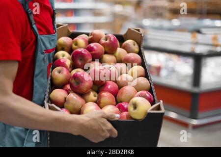 Coltivatore con mele appena raccolte in scatola di cartone. Agricoltura e concetto di giardinaggio. Foto Stock