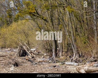 Rilassatevi in un'area ricreativa locale sul lago di costanza Foto Stock
