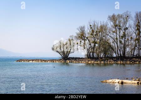 Rilassatevi in un'area ricreativa locale sul lago di costanza Foto Stock