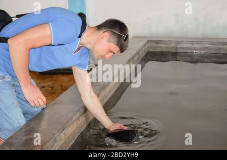 Giovane bruna con fotocamera rilascia tartaruga in acqua, volontario salva tartarughe, protezione degli animali, ragazzo prende le foto di tartaruga. Salvando animali S. Foto Stock