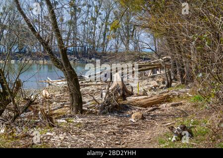 Rilassatevi in un'area ricreativa locale sul lago di costanza Foto Stock