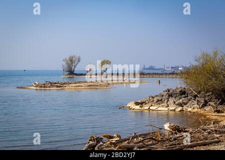 Rilassatevi in un'area ricreativa locale sul lago di costanza Foto Stock