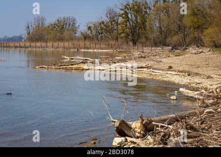 Rilassatevi in un'area ricreativa locale sul lago di costanza Foto Stock