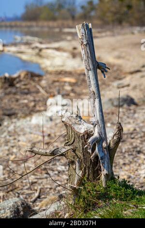 Rilassatevi in un'area ricreativa locale sul lago di costanza Foto Stock