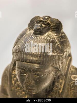 Mostra 'il regno animale nell'antico Egitto', Museo Louvre-Lens. Statua di Yupa, con Thot come un babbuino sulla testa. New Kingdom, basalt, e 25398. Foto Stock