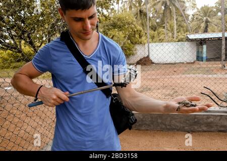 Giovane bruna con fotocamera rilascia tartaruga in acqua, volontario salva tartarughe, protezione degli animali, ragazzo prende le foto di tartaruga. Salvando animali S. Foto Stock