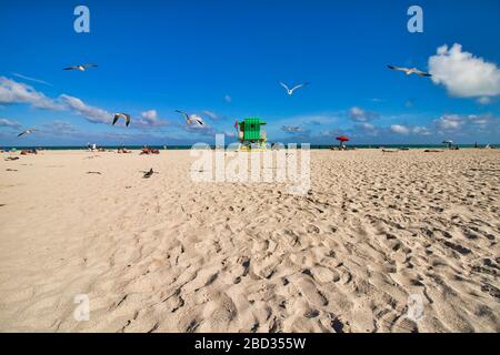 Spiaggia con cabina bagnino a Miami Beach Foto Stock