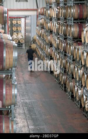 Un lavoratore cammina attraverso botti di vino kosher in un deposito presso la Golan Heights Winery a Katzrin, Israele settentrionale. Foto Stock