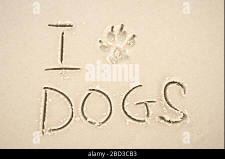 I Love Dogs messaggio con una stampa zampa al posto del cuore scritto a mano sulla spiaggia di sabbia liscia Foto Stock