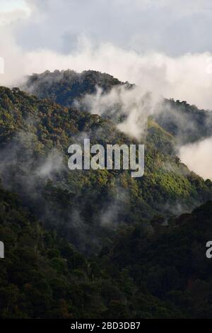 Tramonto nel parco nazionale Los quetzales Costa Rica Foto Stock