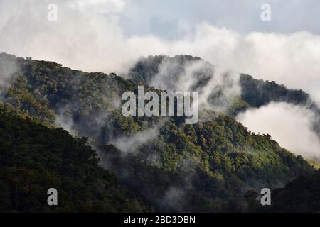 Tramonto nel parco nazionale Los quetzales Costa Rica Foto Stock