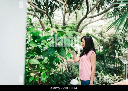 bel ingegnere agronomico osservando le piante in serra Foto Stock