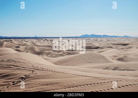 Le dune di sabbia imperiali, California, si estendono all'orizzonte. Foto Stock