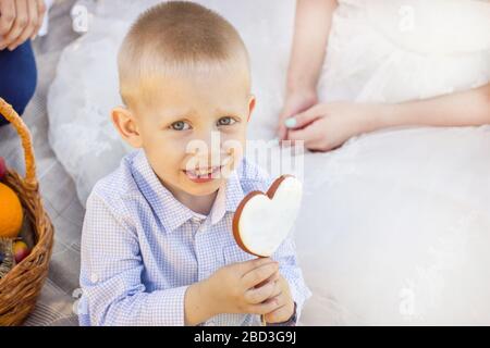 Ritratto di un ragazzo che tiene un biscotto a forma di cuore su un bastone Foto Stock