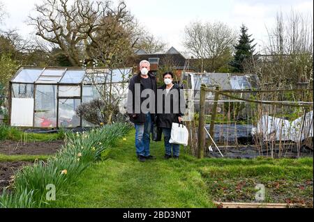 Una coppia sposata più anziana indossa maschere quando si arriva ad un giardino di assegnazione durante il covid-19 coronavirus pandemic. Foto Stock