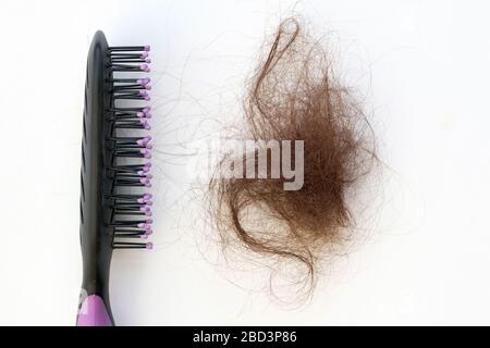 Pettine nero e un fascio di capelli marroni su sfondo bianco. Pettine e capelli caduti pettinati vista dall'alto. Il problema di perdita eccessiva dei capelli, trattamento di al Foto Stock
