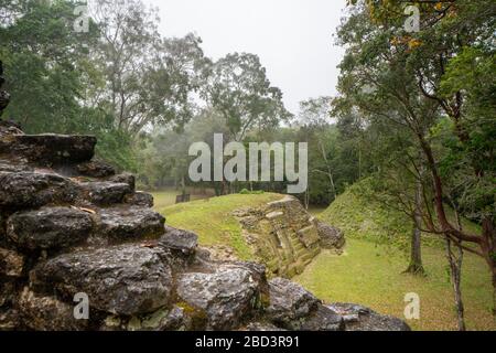 Piramidi Maya nella giungla di Petén a Uxactún, Guatemala Foto Stock