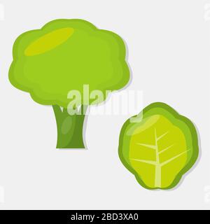 broccoli freschi e verdure di lattuga isolati per l'illustrazione vettoriale concetto di cibo sano Illustrazione Vettoriale
