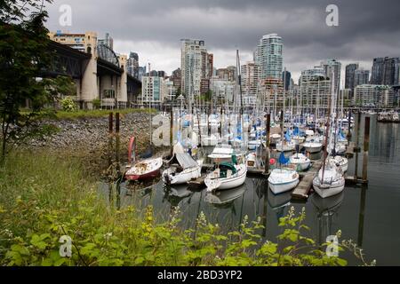 Broker's Bay Marina, Granville Island, Vancouver, British Columbia, Canada, Nord America Foto Stock