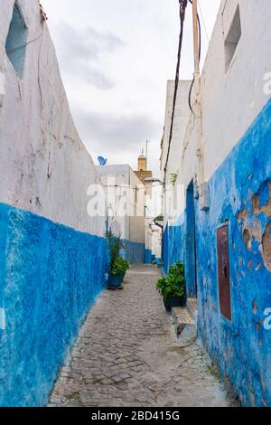 Empty Blue and White Street nella Kasbah degli Udayas in Rabat Marocco Foto Stock