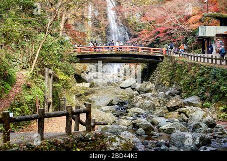 Bridge sopra il vapore nelle autumn. Cascata sullo sfondo. Foto Stock