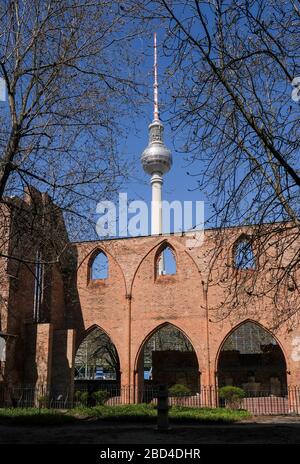 Berlino, Germania. 06th Apr, 2020. La torre televisiva è visibile dietro le rovine della chiesa del monastero francescano di Klosterstraße. Credito: Jens Kalaene/dpa-Zentralbild/ZB/dpa/Alamy Live News Foto Stock