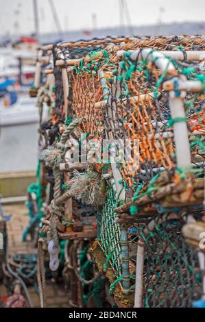 Dettaglio di closeup di aragoste pentole su una banchina del porto sul mare Foto Stock