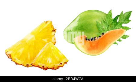 Papaya ananas acquerello illustrazione isolato su sfondo bianco Foto Stock