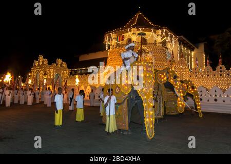 Elefanti cerimoniali sfilano davanti al Tempio della Relica del dente Sacro a Kandy in Sri Lanka durante la processione buddista Esala Perahera. Foto Stock