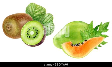 Illustrazione acquerello di Papaya kiwi isolata su sfondo bianco Foto Stock