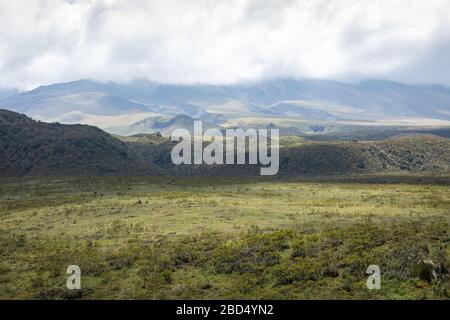 Vista da Cotopaxi volvcano durante il sentiero di trekking. Parco Nazionale Cotopaxi, Ecuador. Sud America. Foto Stock