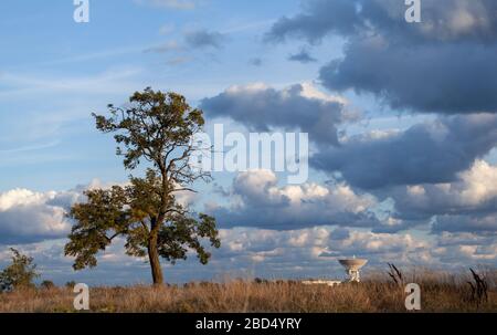 Albero solitario in un campo contro il cielo Foto Stock