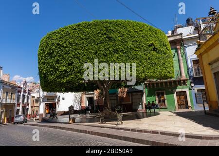 Guanajuato centro storico della città. Case colorate costruite sulla collina. Guanajuato Stato, Messico. Foto Stock